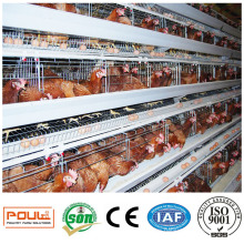 a Frame Commercial Poultry Egg Layer Cage Chicken Battery Coop